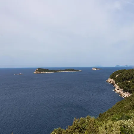 Apartment Manuela - One-bedroom With Balcony And Sea View Cavtat